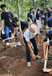 Screenshot_2025_10_01_104409_4941fae4a7